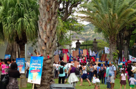 La Réunion veut mettre fin au massacre du diabète